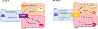 Community Interaction Co-limitation: Nutrient Limitation in a Marine Microbial Community Context